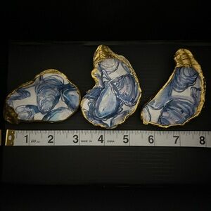 OYSTER SEASHELLS for decoration